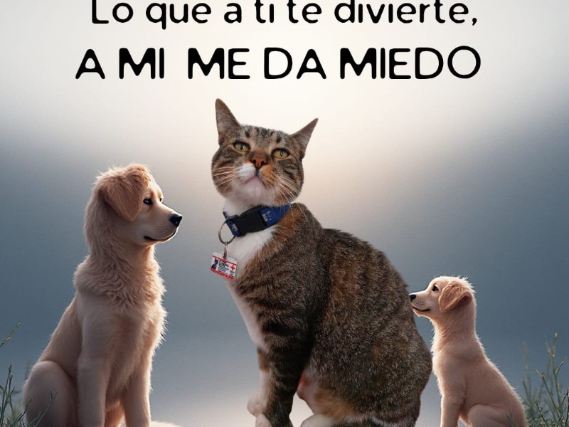 No a la pirotecnia: Cruz Roja