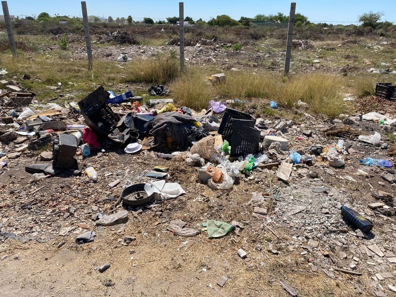 No aguantan los moscos y la basura en Nuevo Horizonte