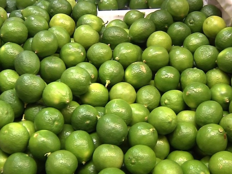 No baja precio de aguacate y de limón