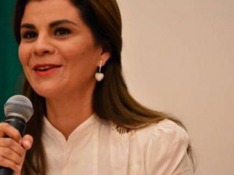 No buscare candidatura: Cristina Rodríguez