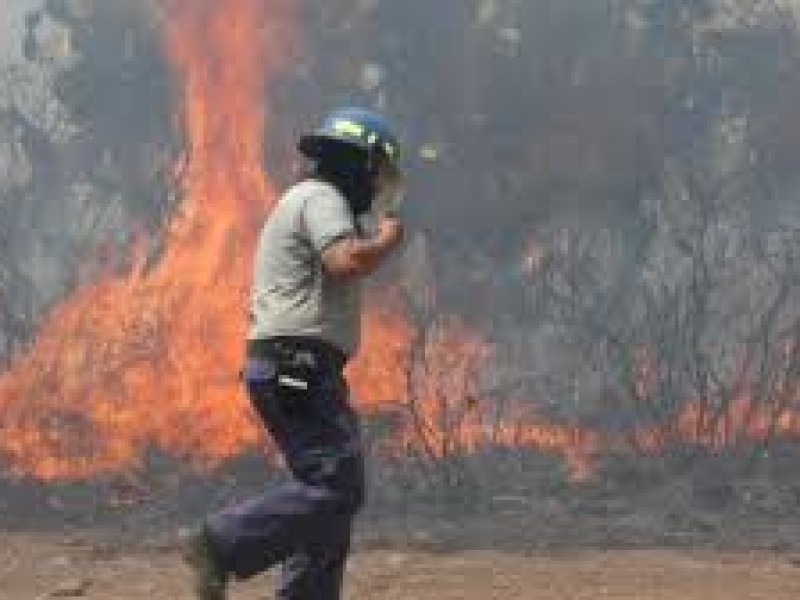 No cesan incendios forestales, ahora Pachuca