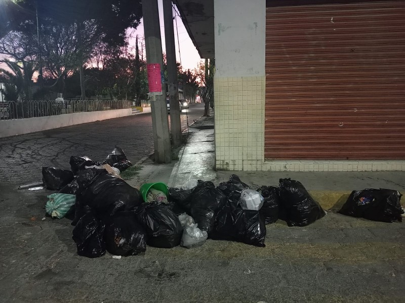 No cesan reportes por falta de recolección de basura