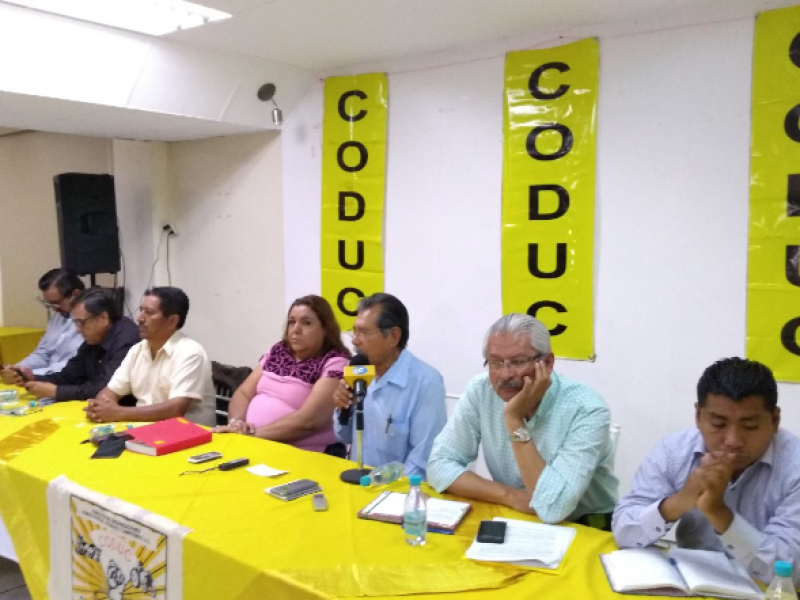 No debe participar Maveco en Tren Maya: Coduc