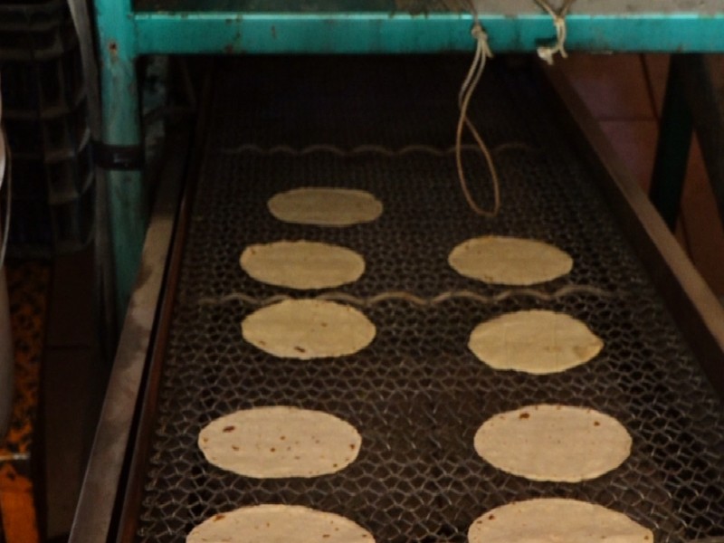 No descartan incremento en precio de la tortilla para 2024