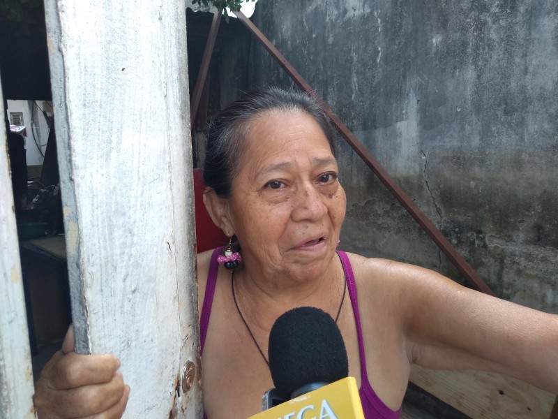 No han fumigado contra dengue en algunas colonias