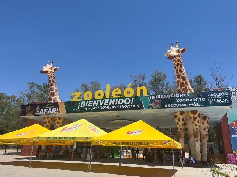 “No hay avances en denuncias en el Parque Zoológico”