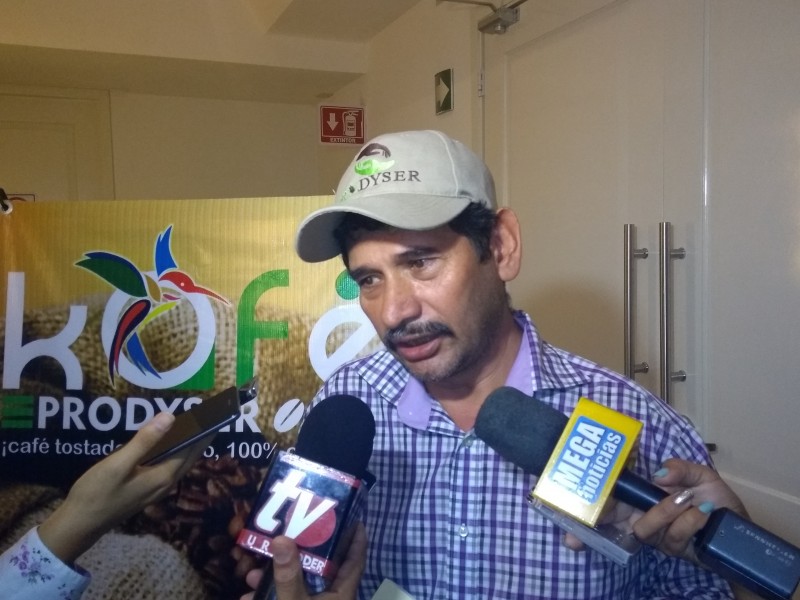 No hay combate a la roya denuncian productores