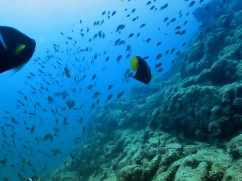 No hay cultura en el ciudado de Mar