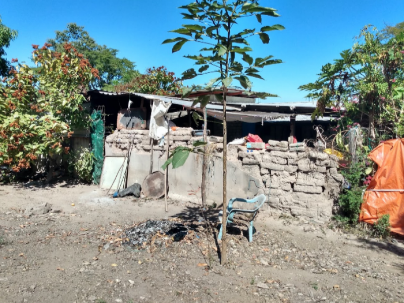 No llegarán las clases en línea a zonas marginadas