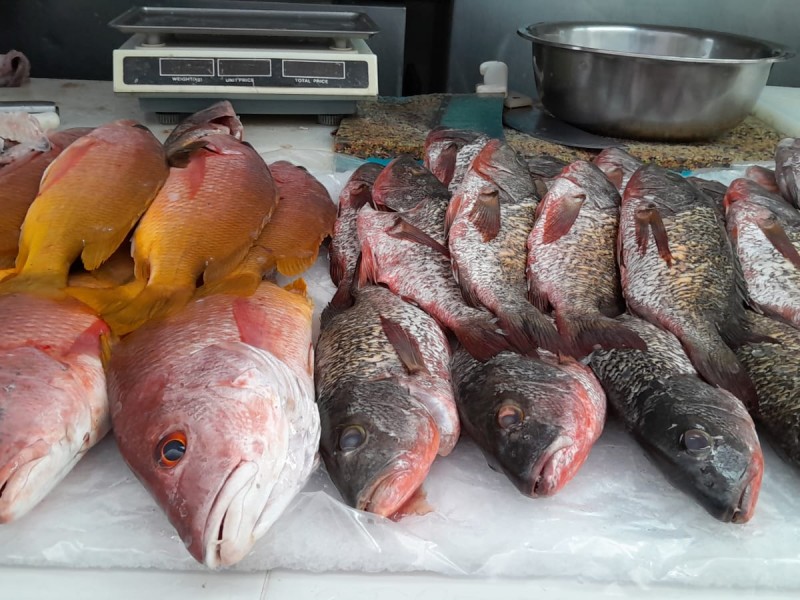 Frío desploman ventas de pescadores y mariscos