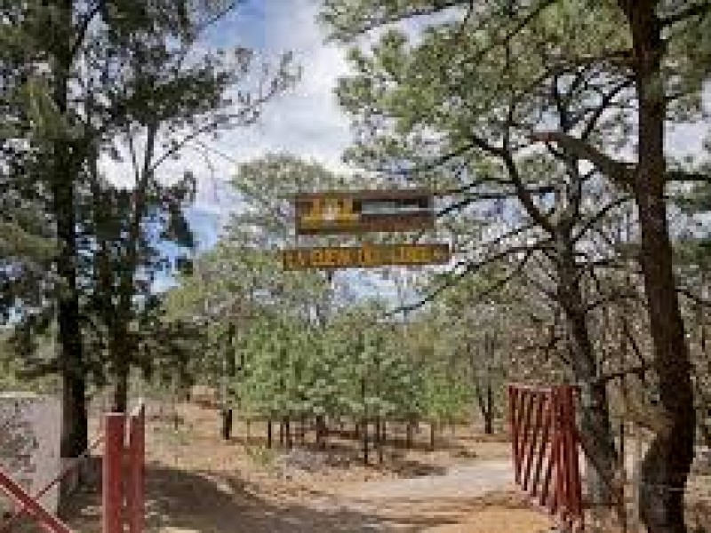 No permitirán construcciones en Bosque de la Primavera