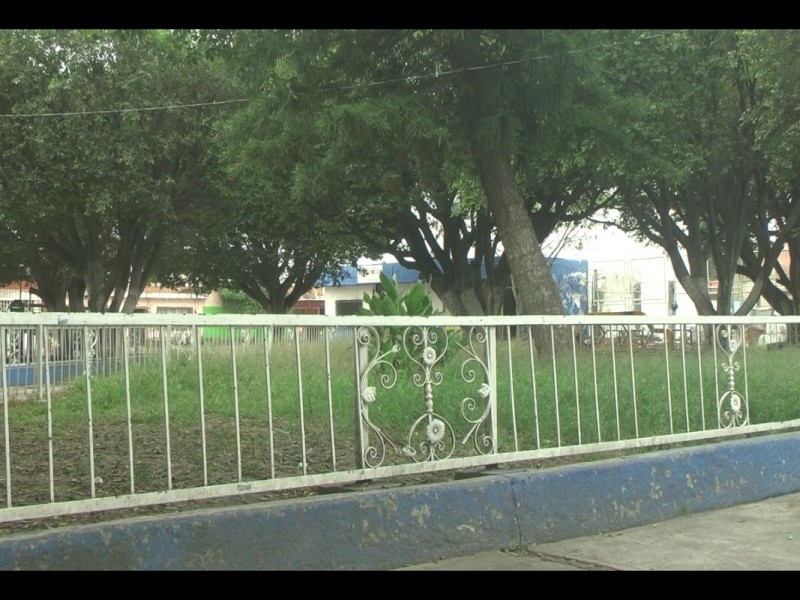 Olvidan mantenimiento en jardín de Valtierrilla