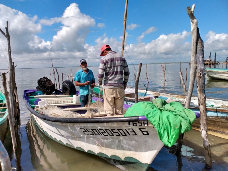 No repuntan capturas de camarón en bahía