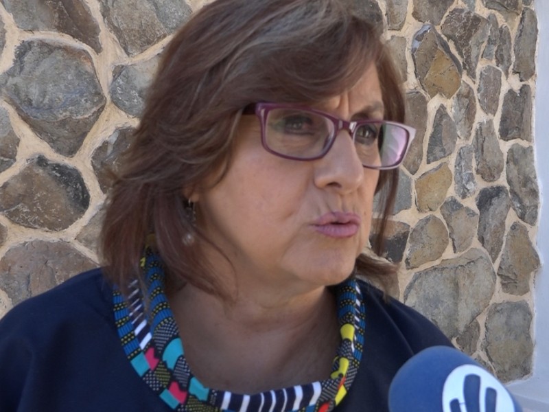 No se discute aborto en Guanajuato por ignorancia: Malú Mícher