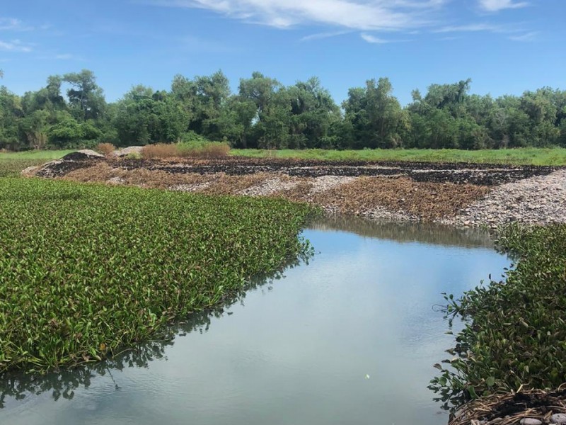 No se encontraron descargas directas al Río Fuerte, según CONAGUA