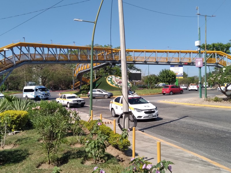 No se tocaran árboles de parque en obra de interior