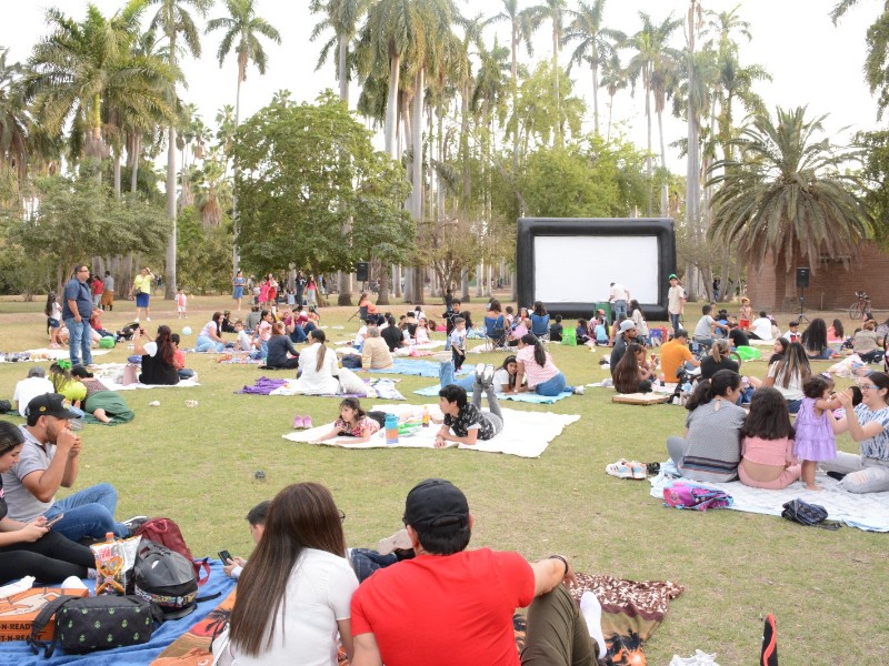 ¡No te lo pierdas! Invitan a cine al aire libre