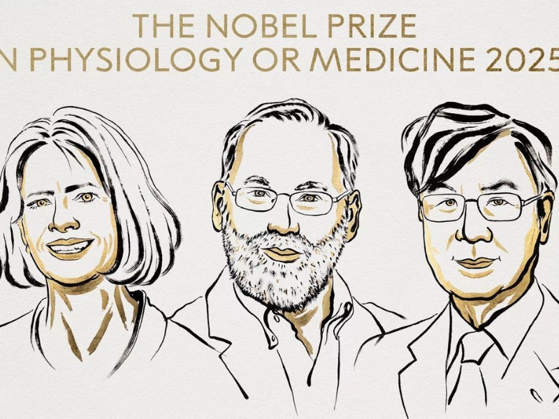 Nobel de Medicina 2025 premia descubrimiento sobre sistema inmunitario