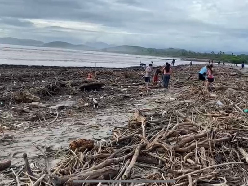 “Nora” arrastró toneladas de basura y árboles a playa Linda