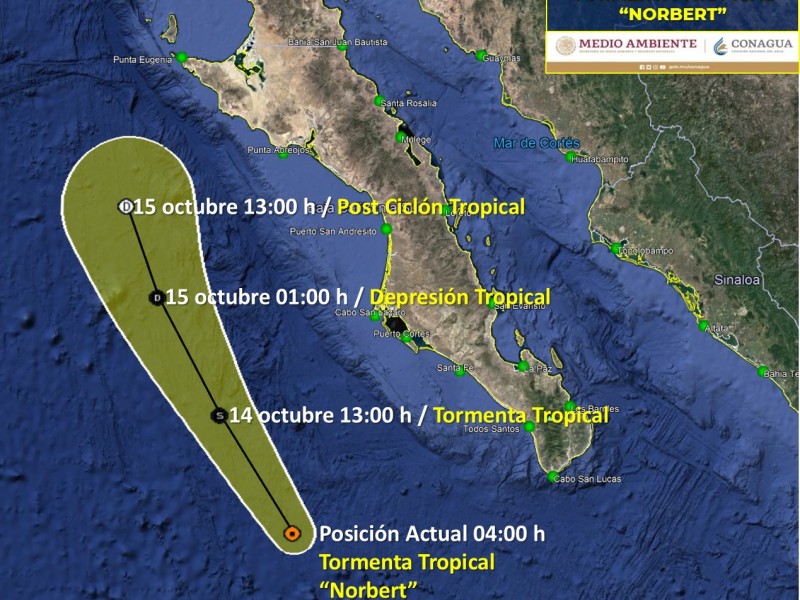 Norbert se intensificó a tormenta tropical