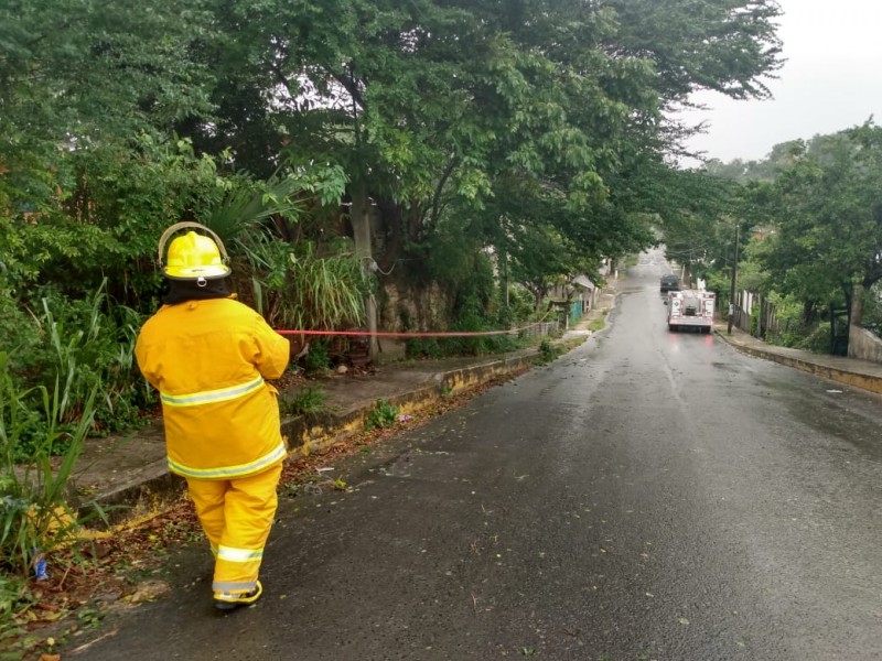 Norte deja ramas y cables caídos