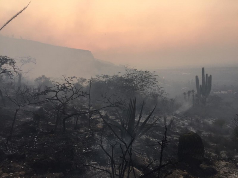 Nube gris en Tehuacán es por incendios: Pazos