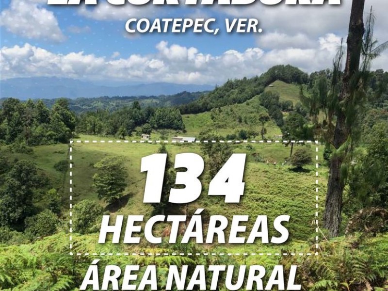 Nueva área natural protegida en Coatepec