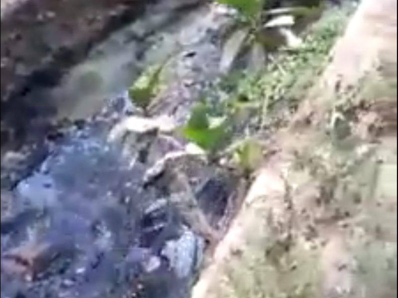 Nueva fuga de aguas negras en playas Nayaritas