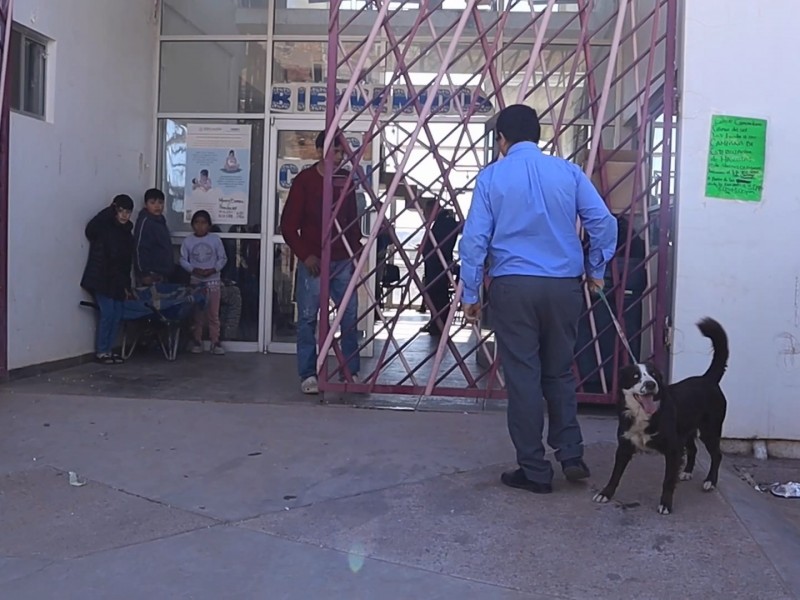 Nueva jornada de esterilización de mascotas