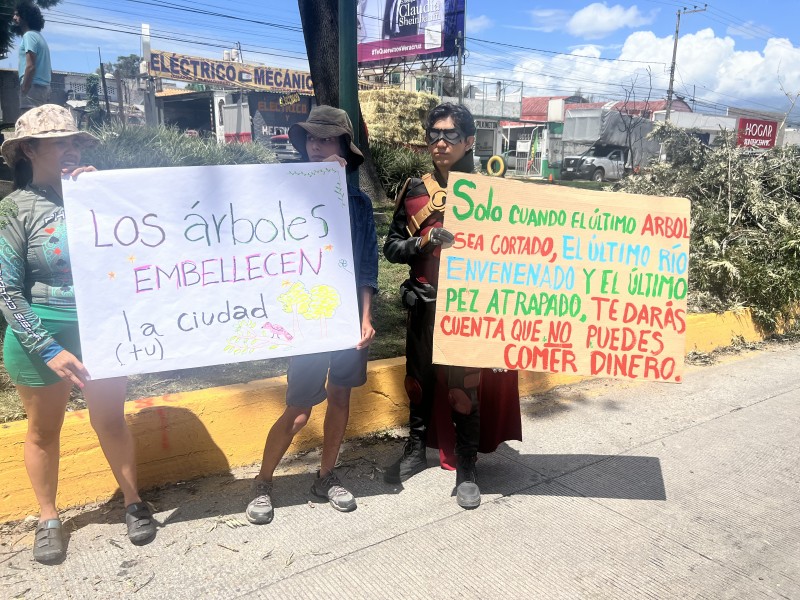 Nuevamente ambientalistas impiden derribo de árboles en Xalapa