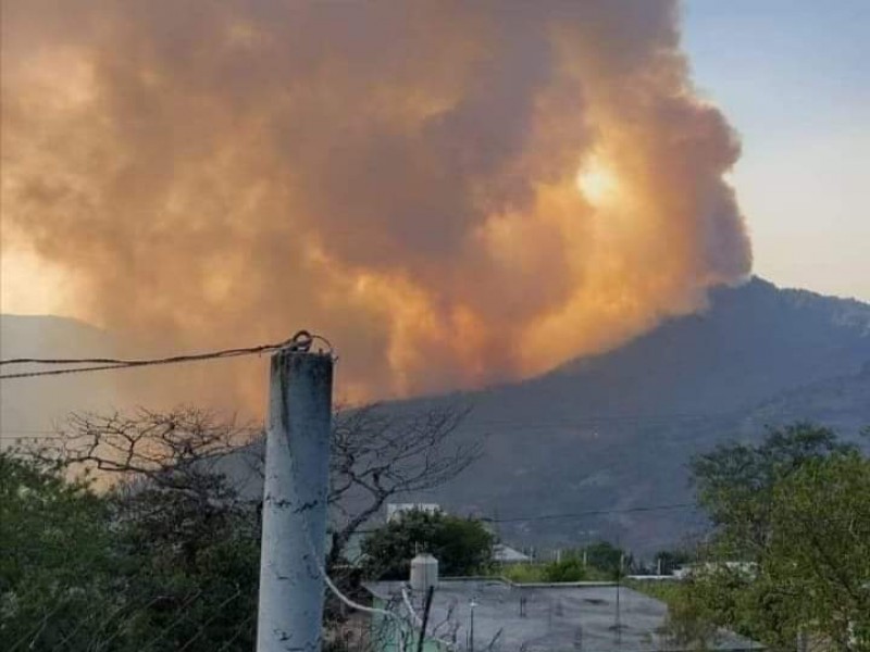 Nuevamente bosques de la Sierra Norte de Oaxaca se incendian