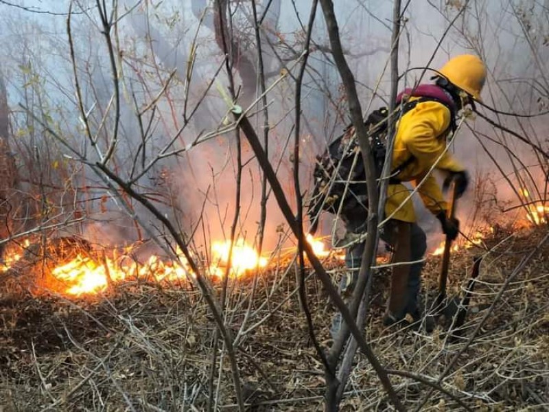 Nuevamente repuntan incendios de pastizales e  Zamora