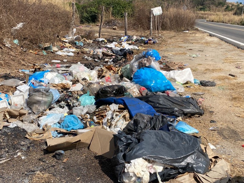 Nuevamente se forman basureros en Petatlán sobre la carretera Acapulco-Zihuatanejo