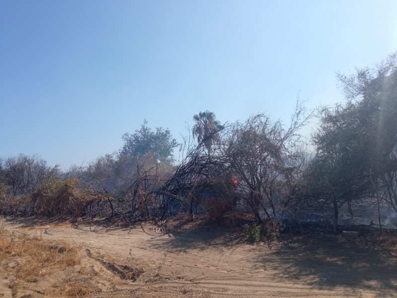 Nuevamente se prende palmar en San José del Cabo