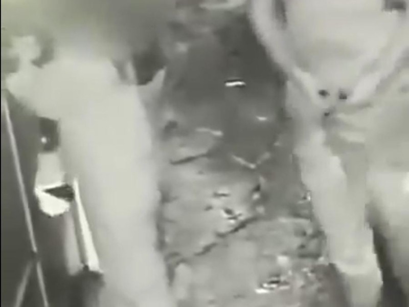 Nuevo caso de acoso en Jardines de San Manuel