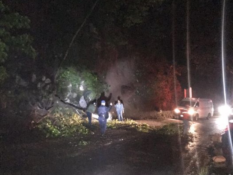 Nuevo derrumbe en barranca de Teocelo