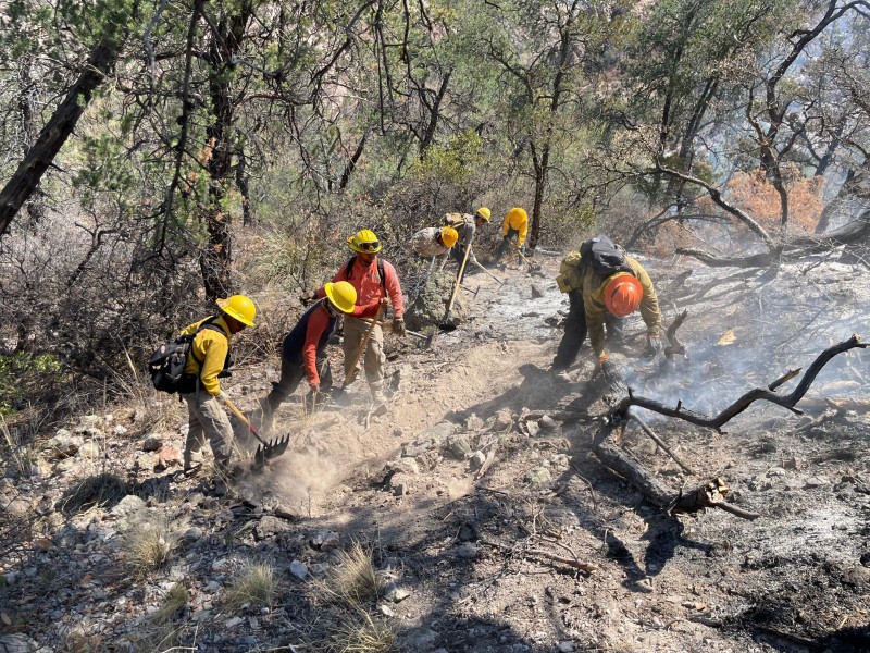 Nuevo incendio forestal en Agua Prieta Sonora