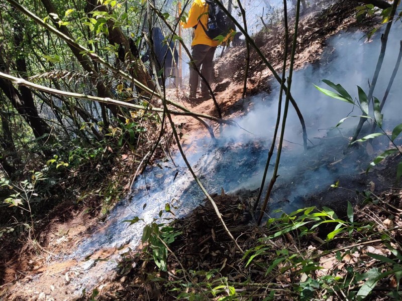 Nuevo incendio forestal en la zona centro de Veracruz