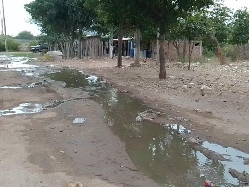 Nuevo San Miguel entre aguas negras por constantes drenajes colapsados