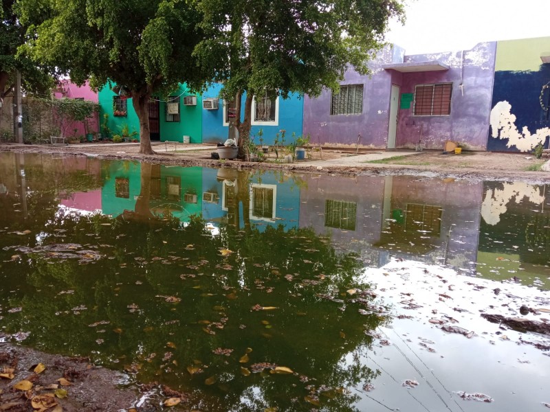 Nuevo Siglo: Estancamiento de aguas ha disparado casos de dengue