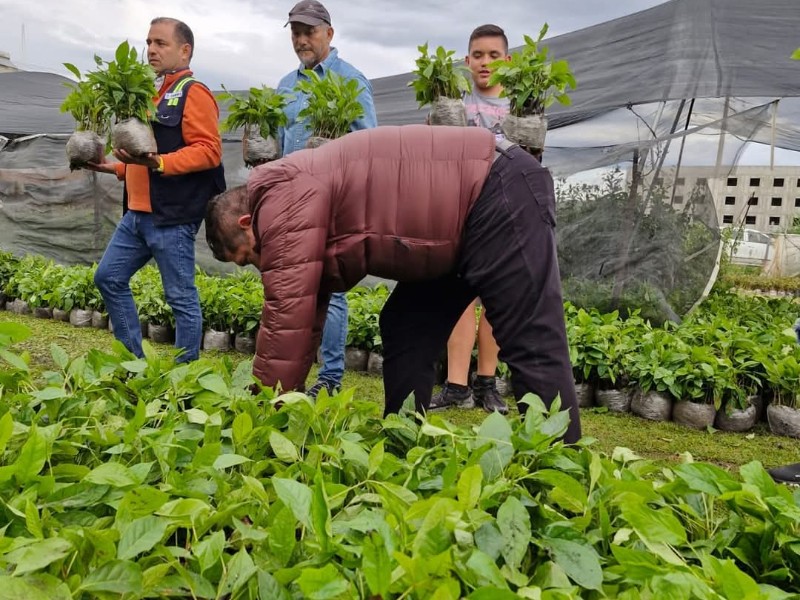 Nuevo Vivero contará con ubicación y media hectárea más amplia