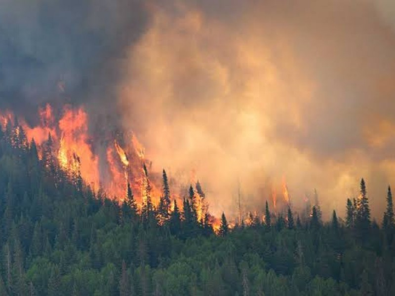 Nuevos incendios obligan a ampliar las evacuaciones en Canadá