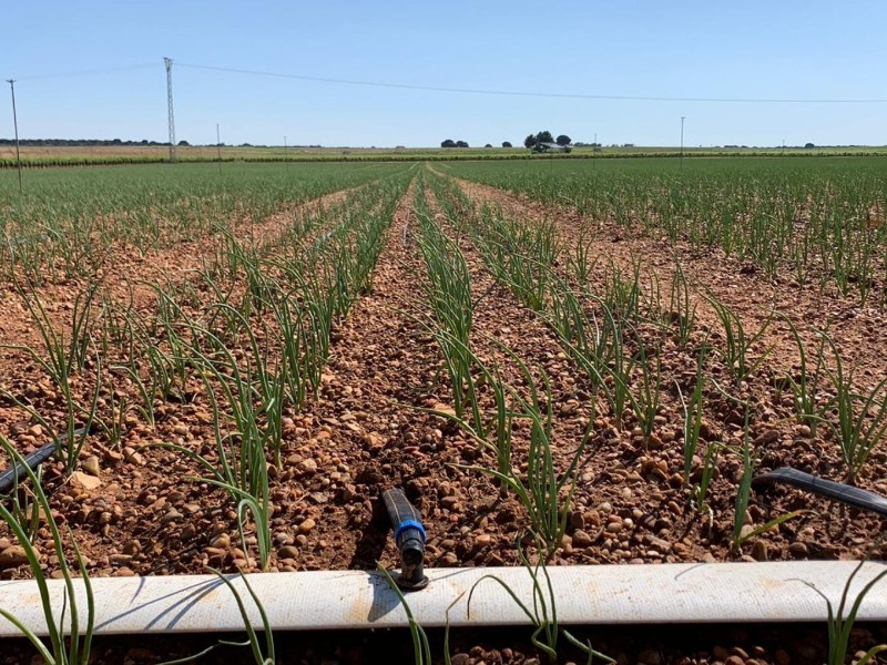 Nuevos proyectos para el Mayo y Yaqui pero sin agua