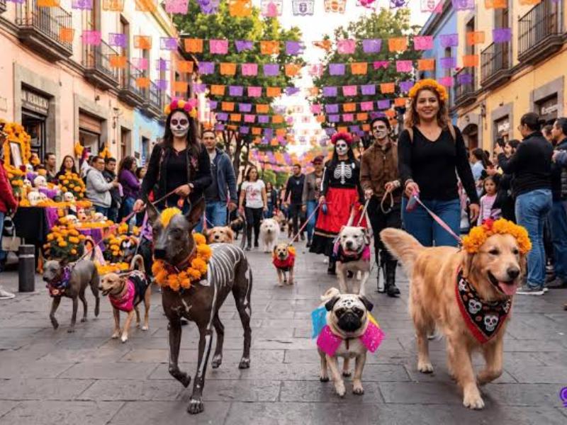 Oaxaca de Juárez invita a caminata y concurso de disfraces para perros