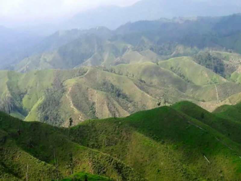 Oaxaca el estado con mayor biodiversidad del país