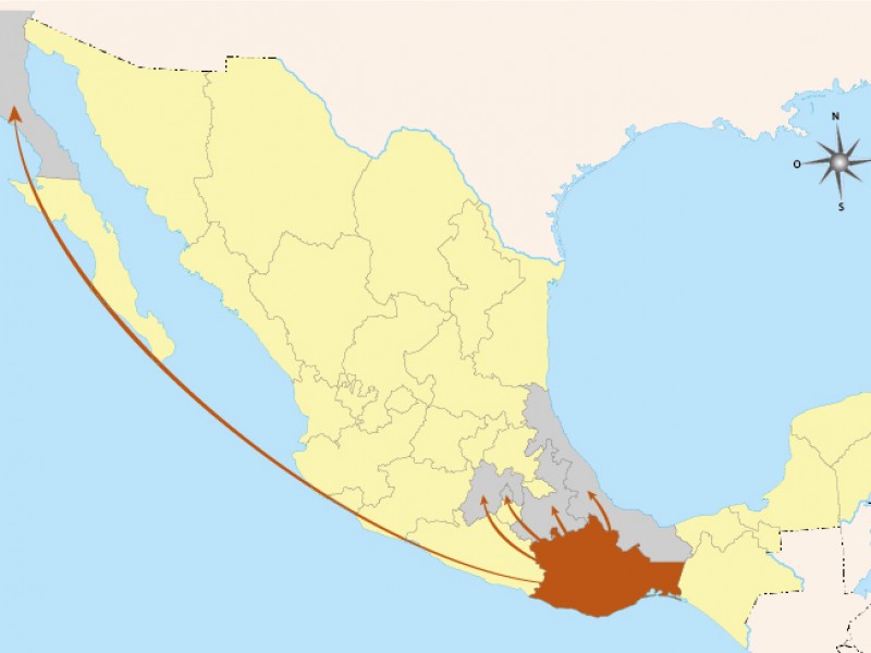 Oaxaca entre las entidades del país con mayor movimiento migratorio