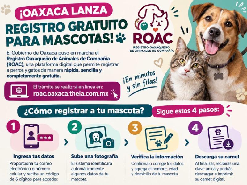 Oaxaca lanza registro gratuito para identificar perros y gatos