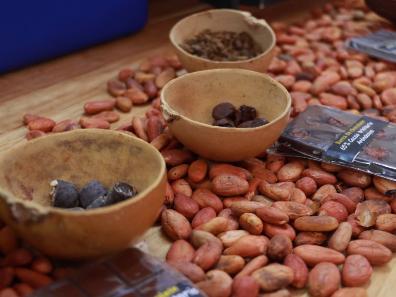 Oaxaca líder nacional en producción de café; inauguran convención 2025