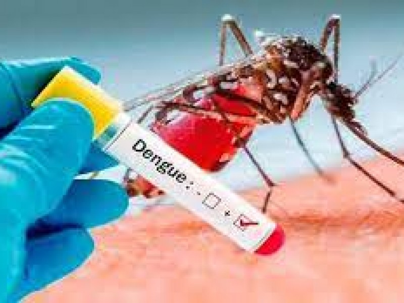 Oaxaca ocupa el doceavo lugar nacional en casos de dengue