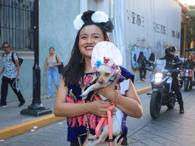 Oaxaca organiza concurso de disfraces caninos previo al Día de Muertos
